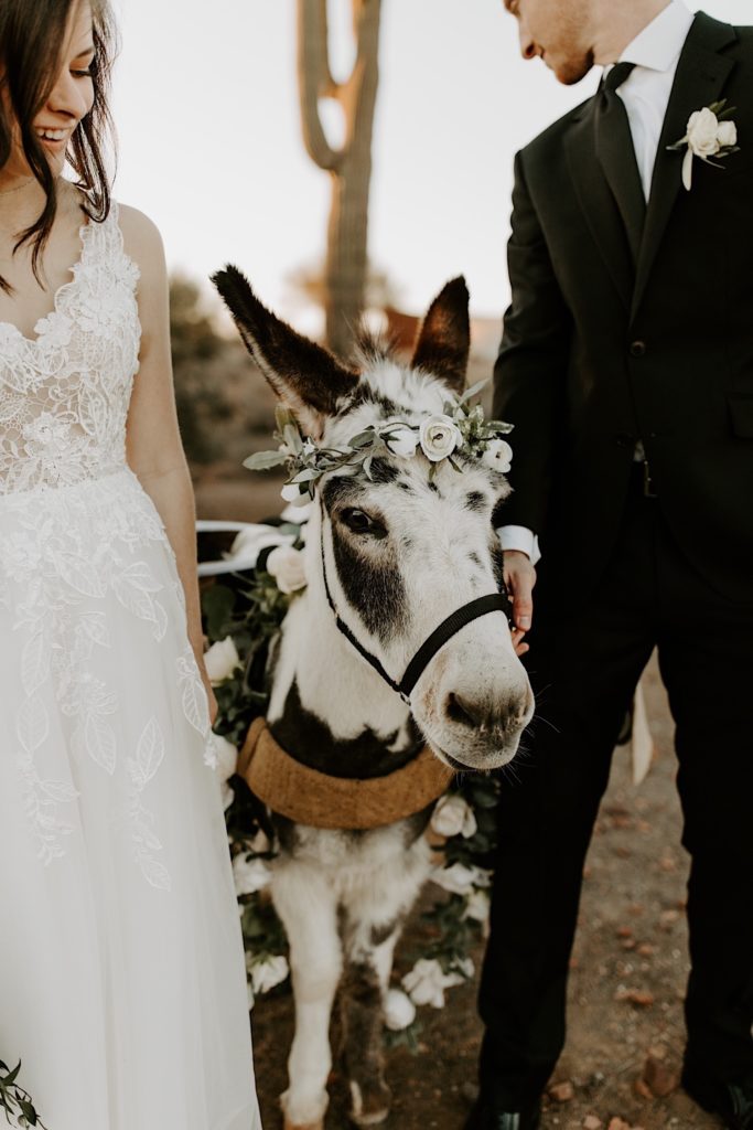 Bride and Groom pose with a beer burro in the desert