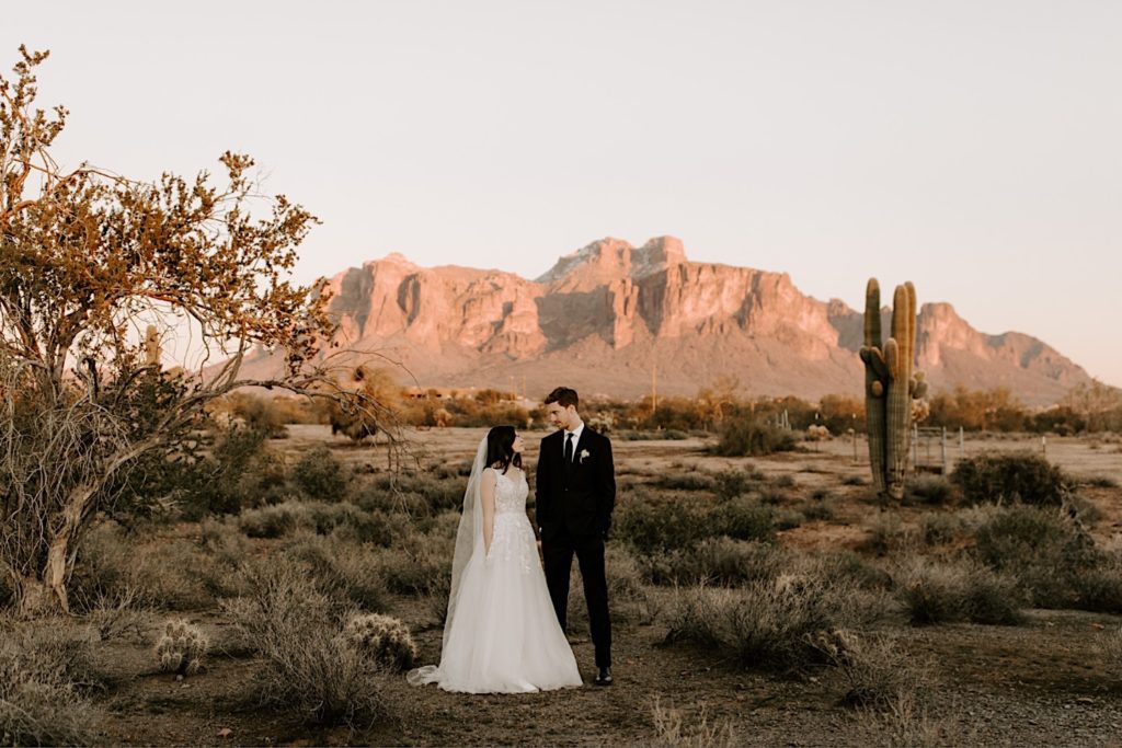 Bride and groom in the Arizona desert glow