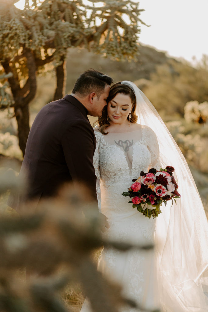 bride and groom portraits in arizona desert superstition mountains