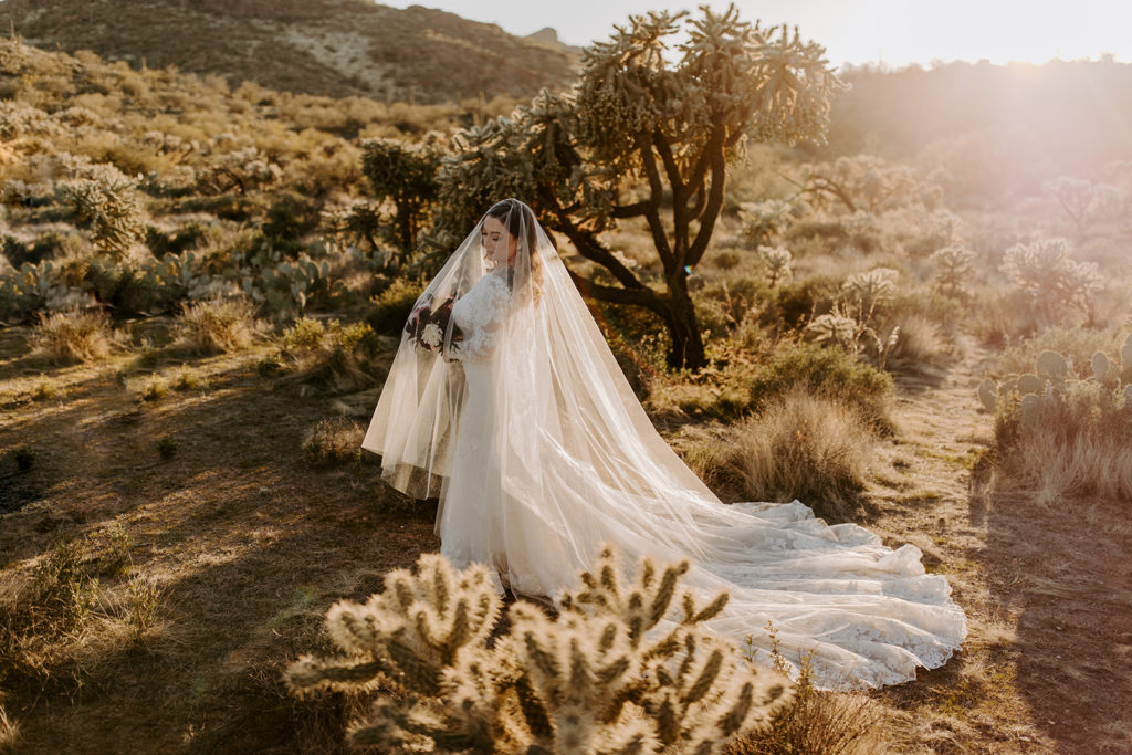 bride sunset portraits desert wedding superstition mountains