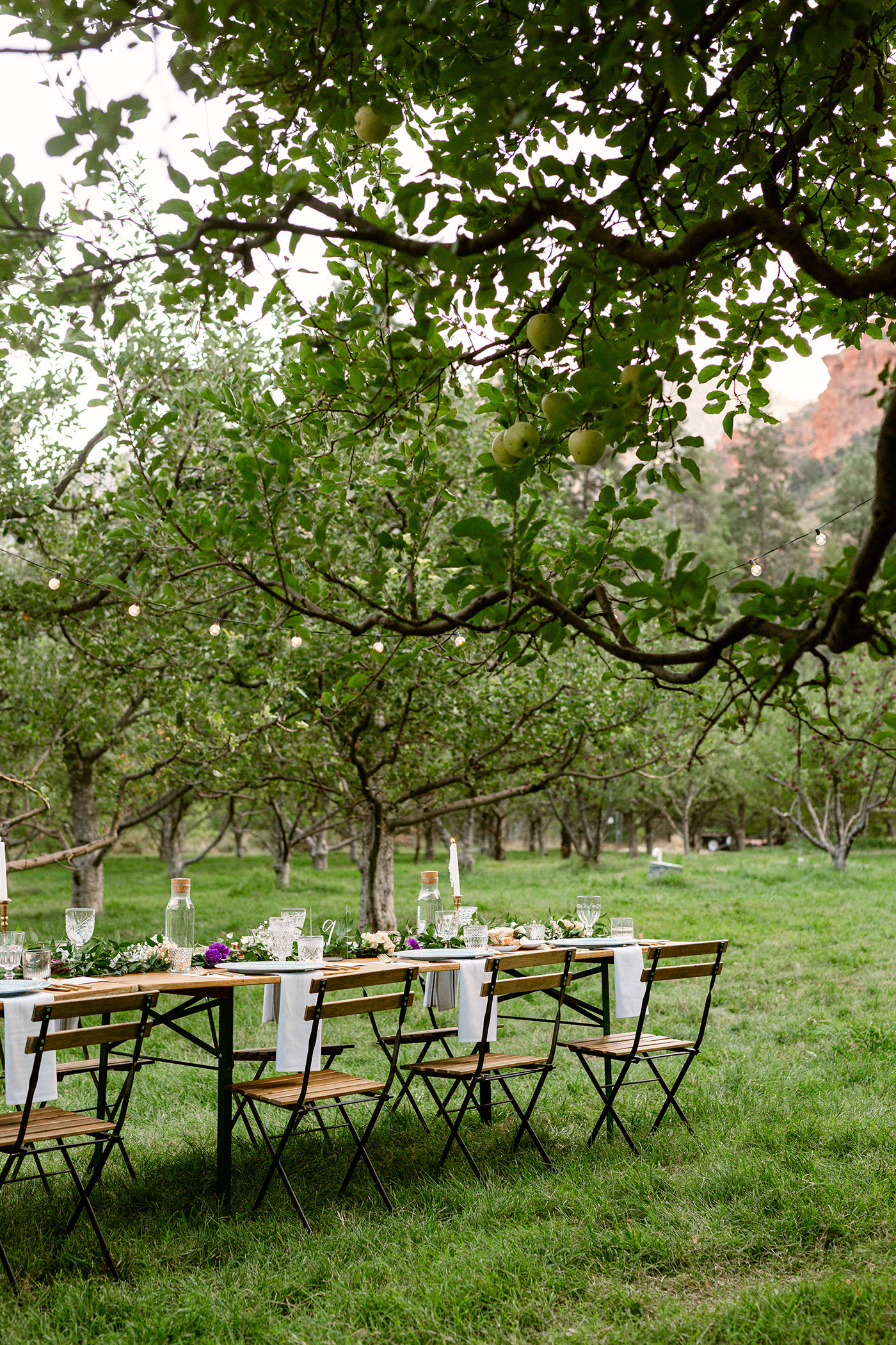 apple orchard wedding decor for a spring wedding in sedona arizona